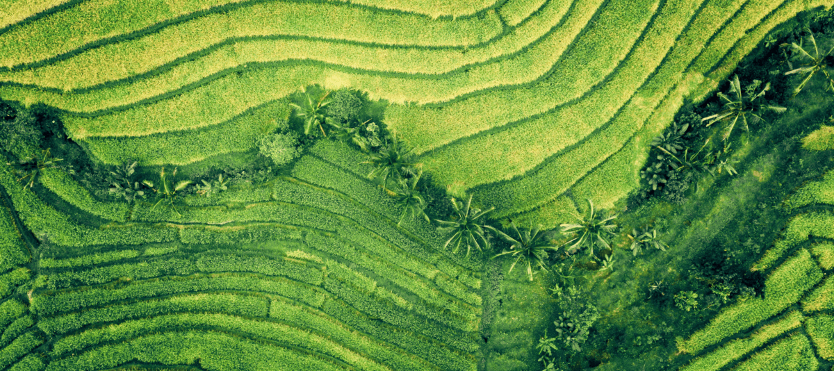Sustainability-2